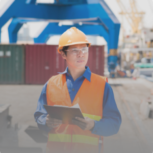 NR 29 - SEGURANÇA E SAÚDE NO TRABALHO PORTUÁRIO